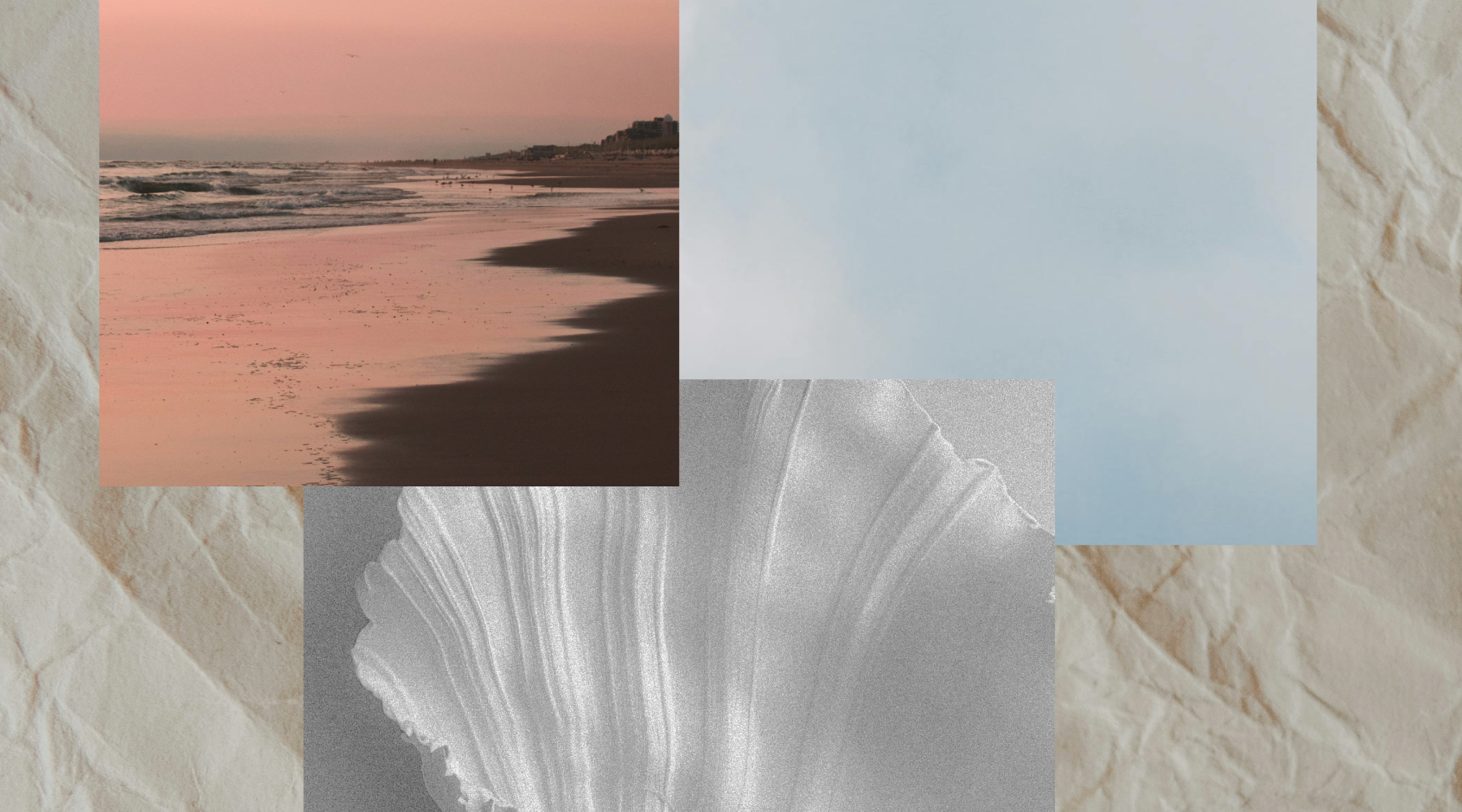 Silk Hair Care for Every Season: Adapting Your Routine Year-Round