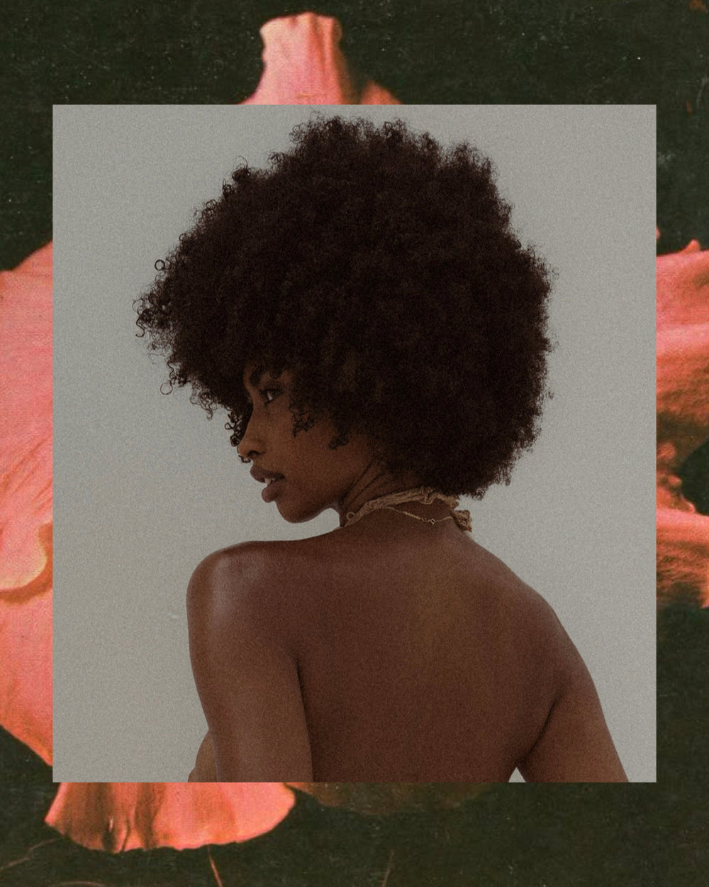 How to Achieve Hair Health Through Balanced Nutrition